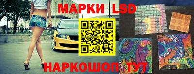 гидра Ставрополь