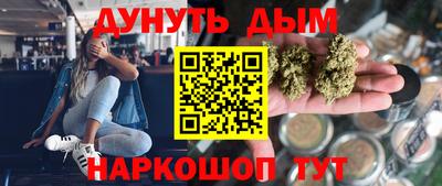 гидра Ставрополь