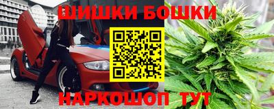 гидра Ставрополь
