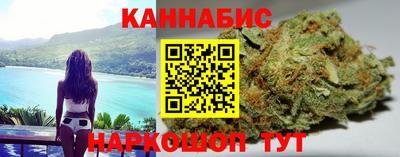 гидра Ставрополь